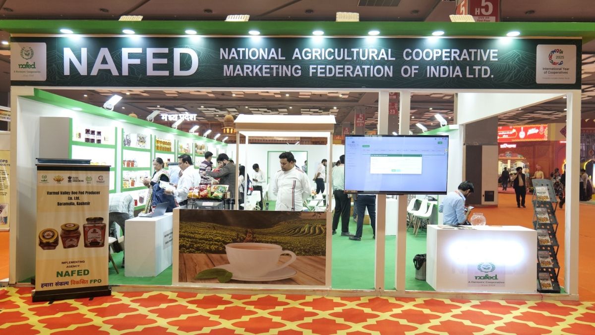 IMG_20251126_161650_293