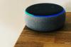 Amazon introduces male voice option for Alexa's responses in India