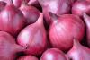 No restriction on onion exports, says Centre