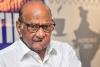 'I am the boss of NCP', asserts Sharad Pawar after ‘no split’ fracas