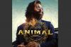 Ranbir Kapoor-starrer 'Animal' to stream digitally from Republic Day