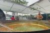 Nagpur chef to cook 7-tonne ‘halwa’ in giant cauldron for Ram Lalla