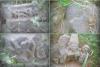 Ancient Deity Statue Remains Found in Chaubepur Bhandaha