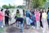 SGCCI Celebrates World Environment Day with Tree Plantation and Yoga