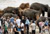 India Tops List of Tourist Arrivals in Sri Lanka for October's First Half