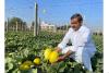 Mekala Shiva Shankar Reddy: The Farmer Innovator Transforming Drought-Hit Anantapur into a Hub of Profitable Agriculture