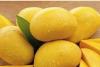 Heavy Drop in Prices Due to Increased Arrival of Alphonso in Mumbai Market