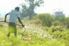 Vedanta Aluminium Enables Irrigation Across 800+ Acres in 41 Villages of Kalahandi