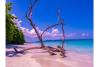 Andaman Travel Care Recognized for Customized Andaman Tour Packages and Honeymoon Travel Experiences