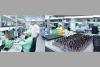 Vadodara: Vinrox Technologies showcases electronics manufacturing strength at Vibrant Gujarat Regional Summit