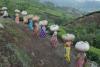 India’s New Specialty Fertilizer Plants