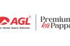 Asian Granito India Ltd Net Profit jumps 89.69 Percent Y-o-Y to Rs. 18.74 crore in FY26, driven by strong domestic demand