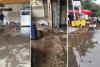 Heavy Impact on Business in Surat Due to 14 Inches of Rain, Water Enters Thousands of Shops; Goods Worth Crores Damaged