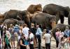 India Tops List of Tourist Arrivals in Sri Lanka for October's First Half