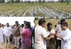 Deputy CM Harsh Sanghavi Visits Flood-Hit Paddy Fields in Surat, Assures Farmers of Prompt Relief