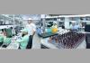 Vadodara: Vinrox Technologies showcases electronics manufacturing strength at Vibrant Gujarat Regional Summit