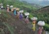 India’s New Specialty Fertilizer Plants