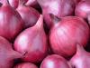 Rajkot farmers struggle to sell onions to NAFED despite government orders