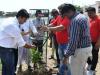 Energy Beverages Celebrated World Environment Day  With Tree Plantation Drive