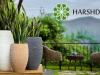 Harshdeep Hortico Limited Reports Strong Operating Results for the year Ended March 31, 2024