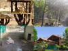Rajkot Zoo Prepares for Summer Heat: Protecting Animals and Welcoming Visitors