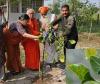 Halol Municipality Launches Unique Initiative to Preserve Rare ‘Krushnavad’ Trees Under ‘One Tree for Mother’ Campaign