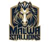 Megha Rajak and Suraj Rajak Launch Malwa Stallions, Signaling New Era for MP Cricket