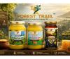 Two Generations, One Mission: How ‘Forest Traiil’ is Turning Forgotten Roots into a Modern Health Revolution