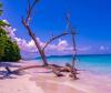 Andaman Travel Care Recognized for Customized Andaman Tour Packages and Honeymoon Travel Experiences