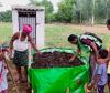 Vedanta Aluminium Scales Organic Farming Interventions in Kalahandi, Benefiting 170 Households