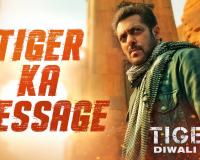 Salman's 'Tiger' hunts with vengeance to clear his name in 'Tiger 3'