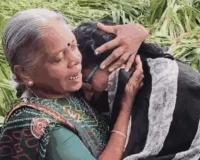 Untimely Rains Devastate Farms in South Gujarat 
