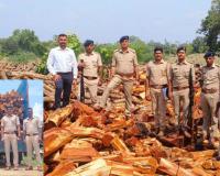 Surat Forest Dept Busts Major Khair Tree Smuggling Racket