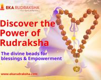 Ultimate Source for Authentic Rudraksha is now Online, Discover ekarudraksha with 25 years of Expertise