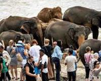 India Tops List of Tourist Arrivals in Sri Lanka for October's First Half