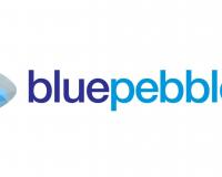 Blue Pebble Limited H1 FY25 Results: PAT Soars by 356.27%