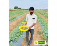 Farmers Across India Reap Benefits from Integrated Pest Management Solutions by Wavar