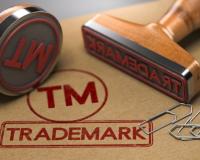 Secure Your Brand- Hassle-Free Trademark Registration with Sell Spyder