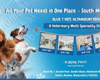 BLUE7VETS Clinic: Revolutionizing Veterinary Care in Mumbai with Over 15 Years of Expertise