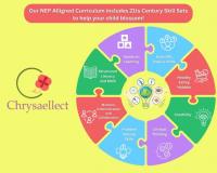 Revolutionizing Early Childhood Education with Chrysaellect Education Solutions