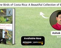 Awesome Birds of Costa Rica- A Celebration of Avian Wonders