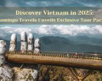 Discover Vietnam in 2025: Flamingo Travels Unveils Exclusive Tour Packages