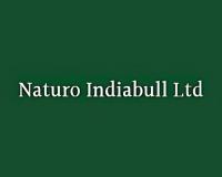 Naturo Indiabull’s profit jumps over 114 percent to Rs. 49.3 lakh in first half of FY 2025