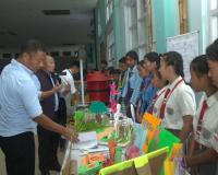 Nagaland Celebrates Creativity and Innovation in Classrooms at the Project-Based Learning (PBL) Fair 2025
