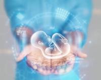 IVF Treatment in India: How Much Does it Cost