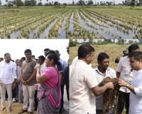 Deputy CM Harsh Sanghavi Visits Flood-Hit Paddy Fields in Surat, Assures Farmers of Prompt Relief