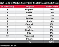Kingston Leads Channel SSD Shipments in 2024