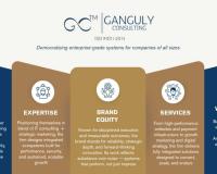 Ganguly Consulting: Empowering Businesses to Scale with Clarity, Systems, and Relationships