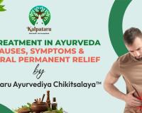 IBS Treatment in Ayurveda: Causes, Symptoms and Natural Permanent Relief by Kalpataru Ayurvediya Chikitsalaya