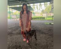 Gujarat’s DHUNN Charitable Trust Announces Historic Miniature Breeding Triumph: 20-Inch Calf ‘HARINI’ Born To Registered Indigenous Parents Petlad/Dharamraj, Gujarat